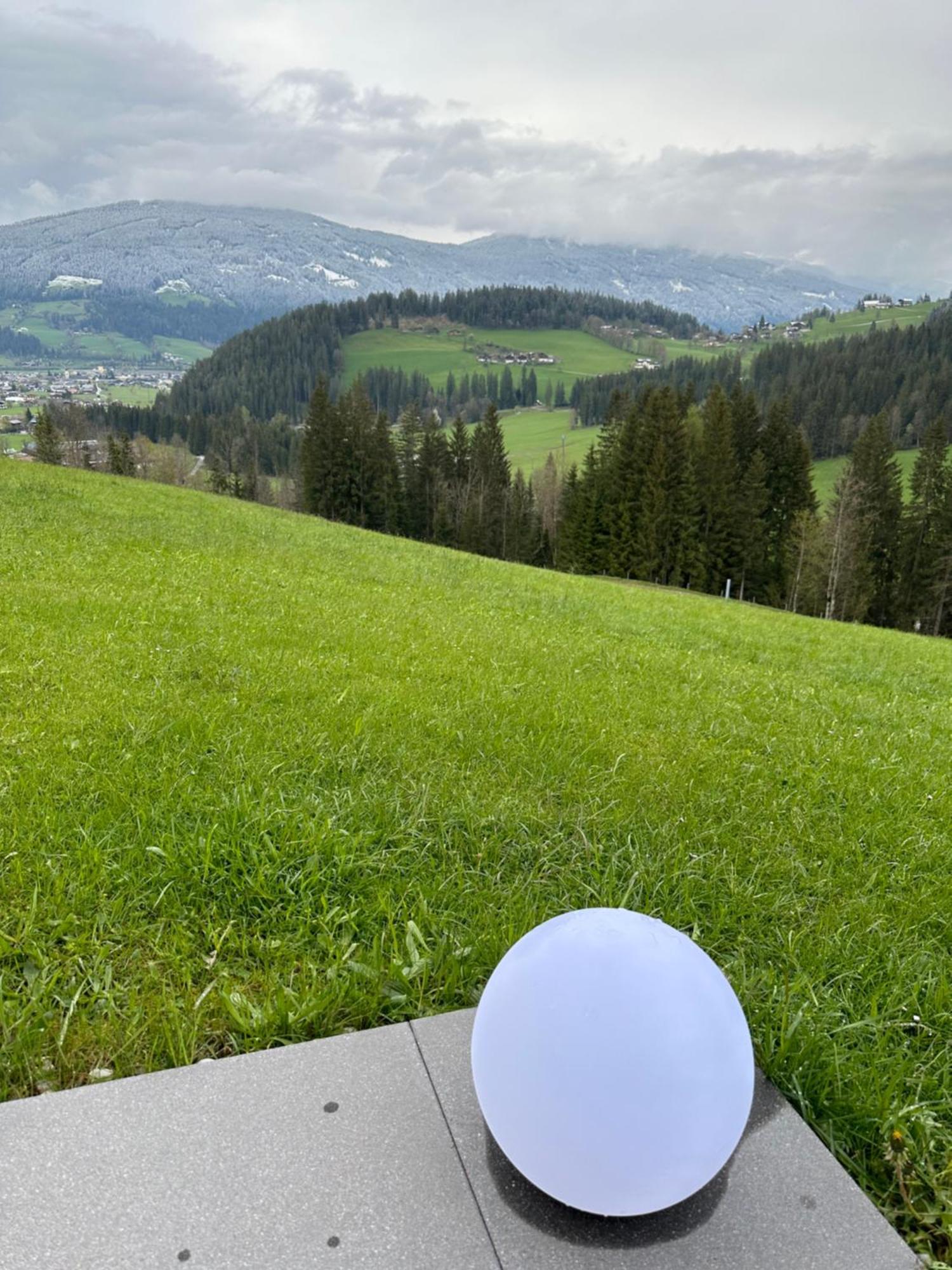 Luxus-Apartment-Vorderreit Gut Altenmarkt im Pongau Exterior photo